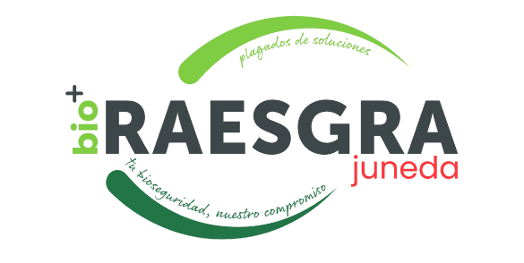 RAESGRA
